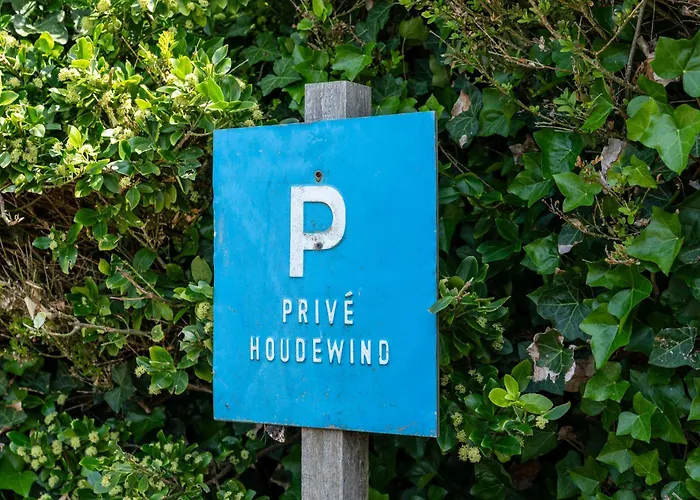 Ruime Aan De Kust In Het Prachtige Sint Maartenszee